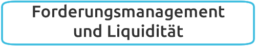 Forderungsmanagement und Liquidität